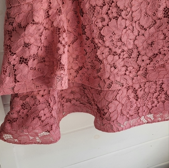 City Chic Rose Pink Sienna Lace Fit and Flare Mini Dress Size 20 - Picture 5 of 14